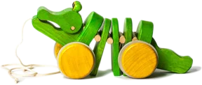 crocodile